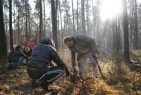 Two volunteers planting a deciduous seedling within an established forest. The planting location is in Landschaftsschutzgebiet Grunewald, Berlin, Germany near the Krumme Lanke subway station. The planting event was organized by aufBuchen eV, a conservation NGO based in Berlin. | Photographed using a Sony a6700 APS-C format camera | ISO 6709:2022 +52.45630+013.20750/ | Camera timestamp information in UTC | Metadata timestamp 02-Dec-2024 23:57:43 +0000 (UTC)