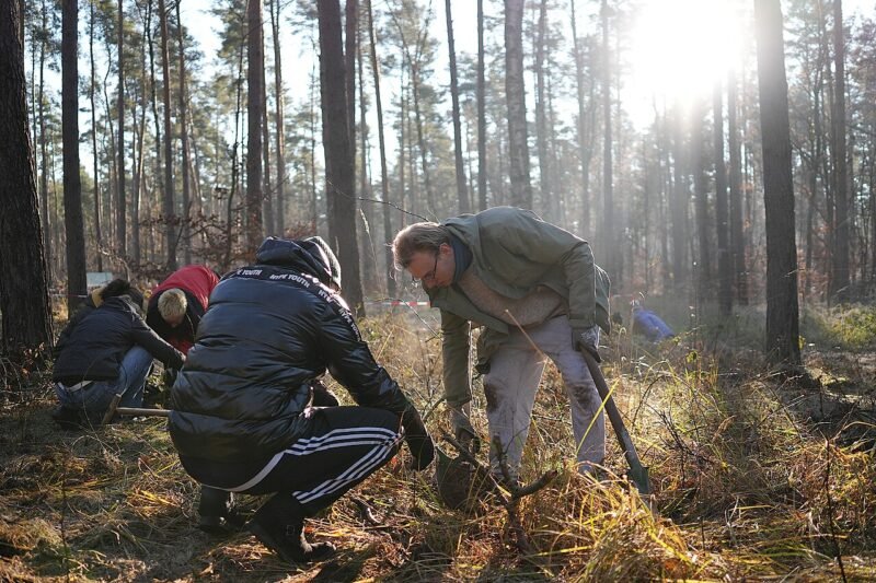 Two volunteers planting a deciduous seedling within an established forest. The planting location is in Landschaftsschutzgebiet Grunewald, Berlin, Germany near the Krumme Lanke subway station. The planting event was organized by aufBuchen eV, a conservation NGO based in Berlin. | Photographed using a Sony a6700 APS-C format camera | ISO 6709:2022 +52.45630+013.20750/ | Camera timestamp information in UTC | Metadata timestamp 02-Dec-2024 23:57:43 +0000 (UTC)