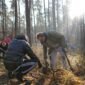 Two volunteers planting a deciduous seedling within an established forest. The planting location is in Landschaftsschutzgebiet Grunewald, Berlin, Germany near the Krumme Lanke subway station. The planting event was organized by aufBuchen eV, a conservation NGO based in Berlin. | Photographed using a Sony a6700 APS-C format camera | ISO 6709:2022 +52.45630+013.20750/ | Camera timestamp information in UTC | Metadata timestamp 02-Dec-2024 23:57:43 +0000 (UTC)