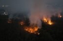 Kebakaran hutan dan lahan di Kalimantan. (Foto: MWul/Wikimedia Commons, CC BY 4.0)