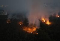 Kebakaran hutan dan lahan di Kalimantan. (Foto: MWul/Wikimedia Commons, CC BY 4.0)