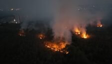 Kebakaran hutan dan lahan di Kalimantan. (Foto: MWul/Wikimedia Commons, CC BY 4.0)