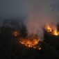Kebakaran hutan dan lahan di Kalimantan. (Foto: MWul/Wikimedia Commons, CC BY 4.0)
