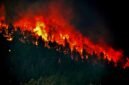 Ilustrasi kebakaran hutan dan lahan. BPBD Kaltim mencatat 8.559,61 hektare lahan terbakar hingga 12 Oktober 2026. (Foto: Wikimedia Commons)