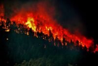 Ilustrasi kebakaran hutan dan lahan. BPBD Kaltim mencatat 8.559,61 hektare lahan terbakar hingga 12 Oktober 2026. (Foto: Wikimedia Commons)
