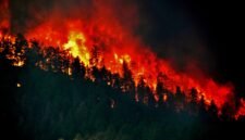 Ilustrasi kebakaran hutan dan lahan. BPBD Kaltim mencatat 8.559,61 hektare lahan terbakar hingga 12 Oktober 2026. (Foto: Wikimedia Commons)