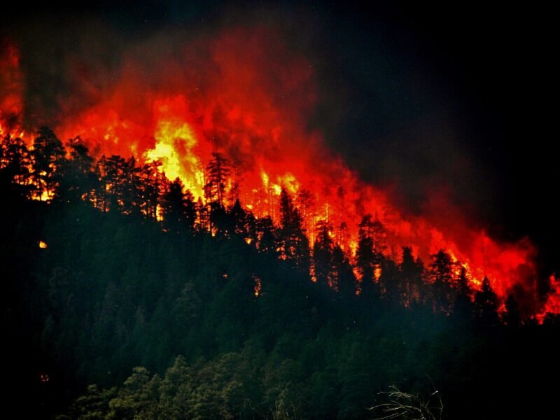 Ilustrasi kebakaran hutan dan lahan. BPBD Kaltim mencatat 8.559,61 hektare lahan terbakar hingga 12 Oktober 2026. (Foto: Wikimedia Commons)