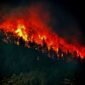 Ilustrasi kebakaran hutan dan lahan. BPBD Kaltim mencatat 8.559,61 hektare lahan terbakar hingga 12 Oktober 2026. (Foto: Wikimedia Commons)
