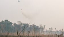 Helicopter of water bombing, was helping them to watered peat soils. Often, watered the flame.