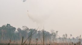 Helicopter of water bombing, was helping them to watered peat soils. Often, watered the flame.